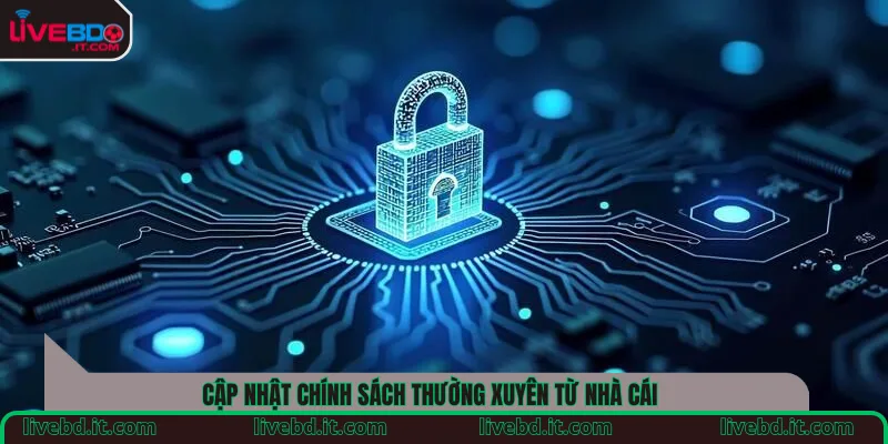 Cập nhật chính sách thường xuyên từ nhà cái