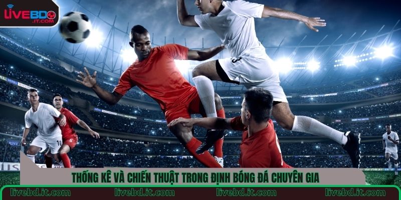 Thống kê và chiến thuật trong định bóng đá chuyên gia