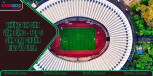 Thông tin sân vận động